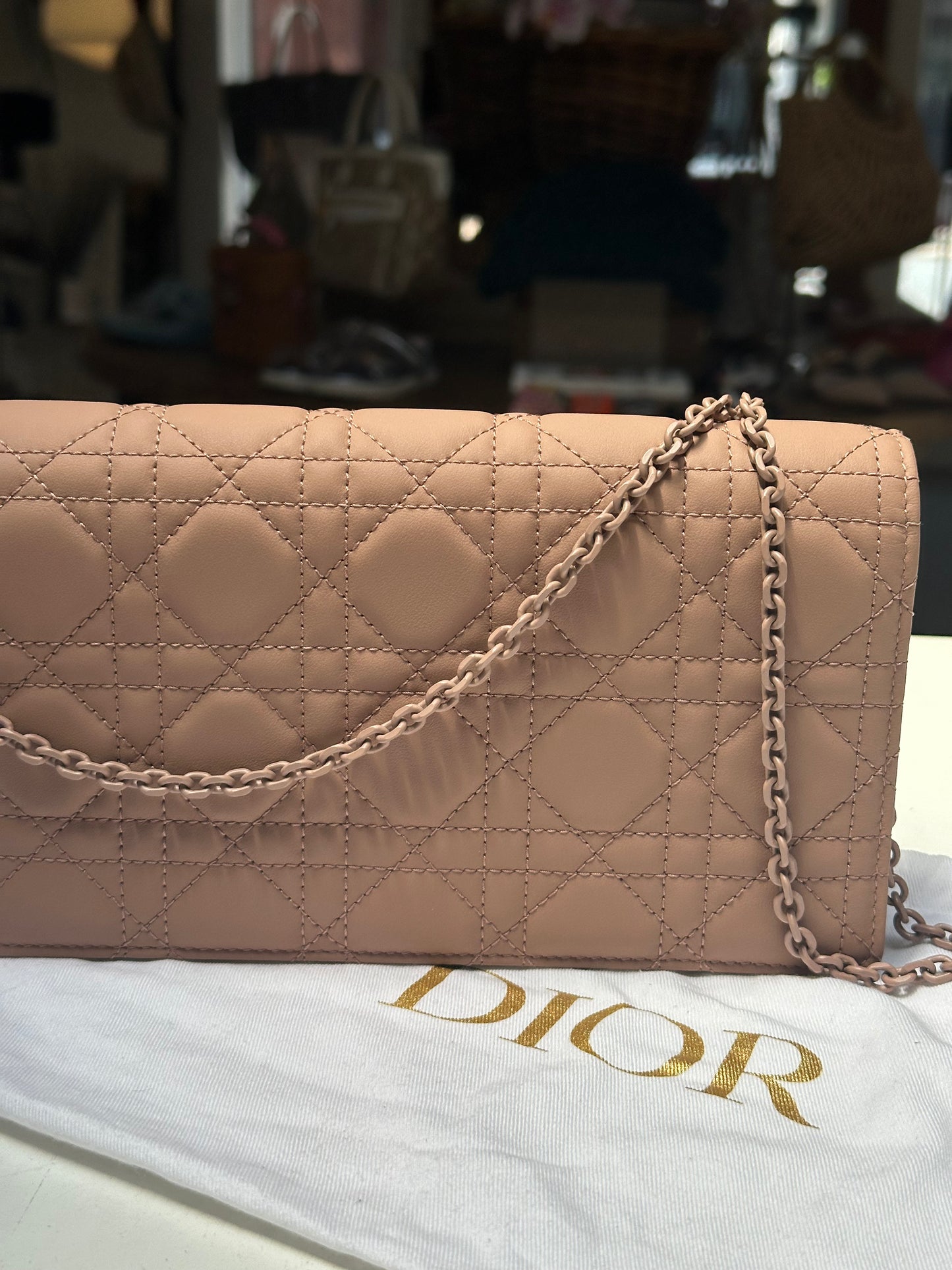 Dior Matte Blush Crossbody