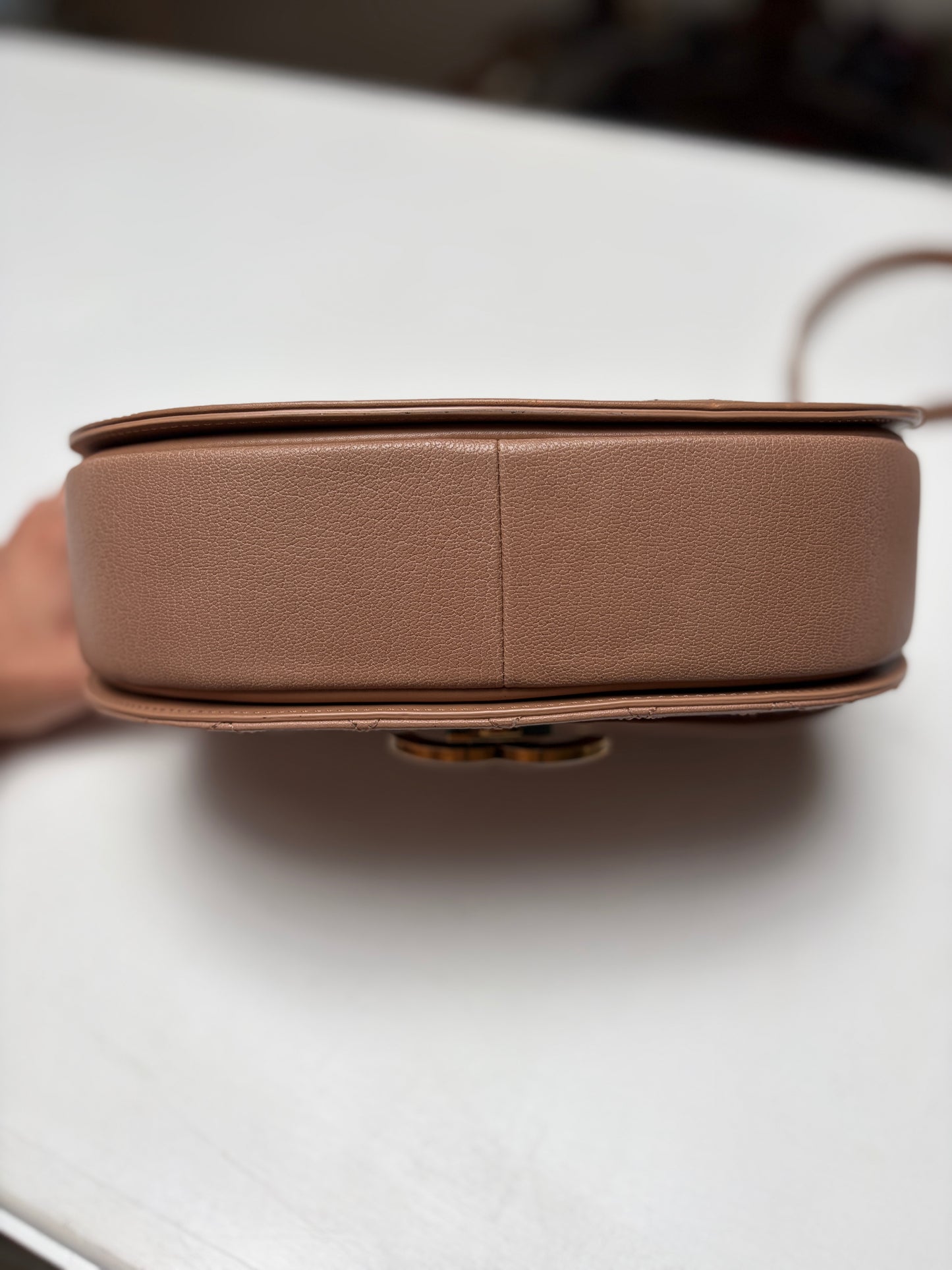 Chanel Neutral Coco Curve Flap