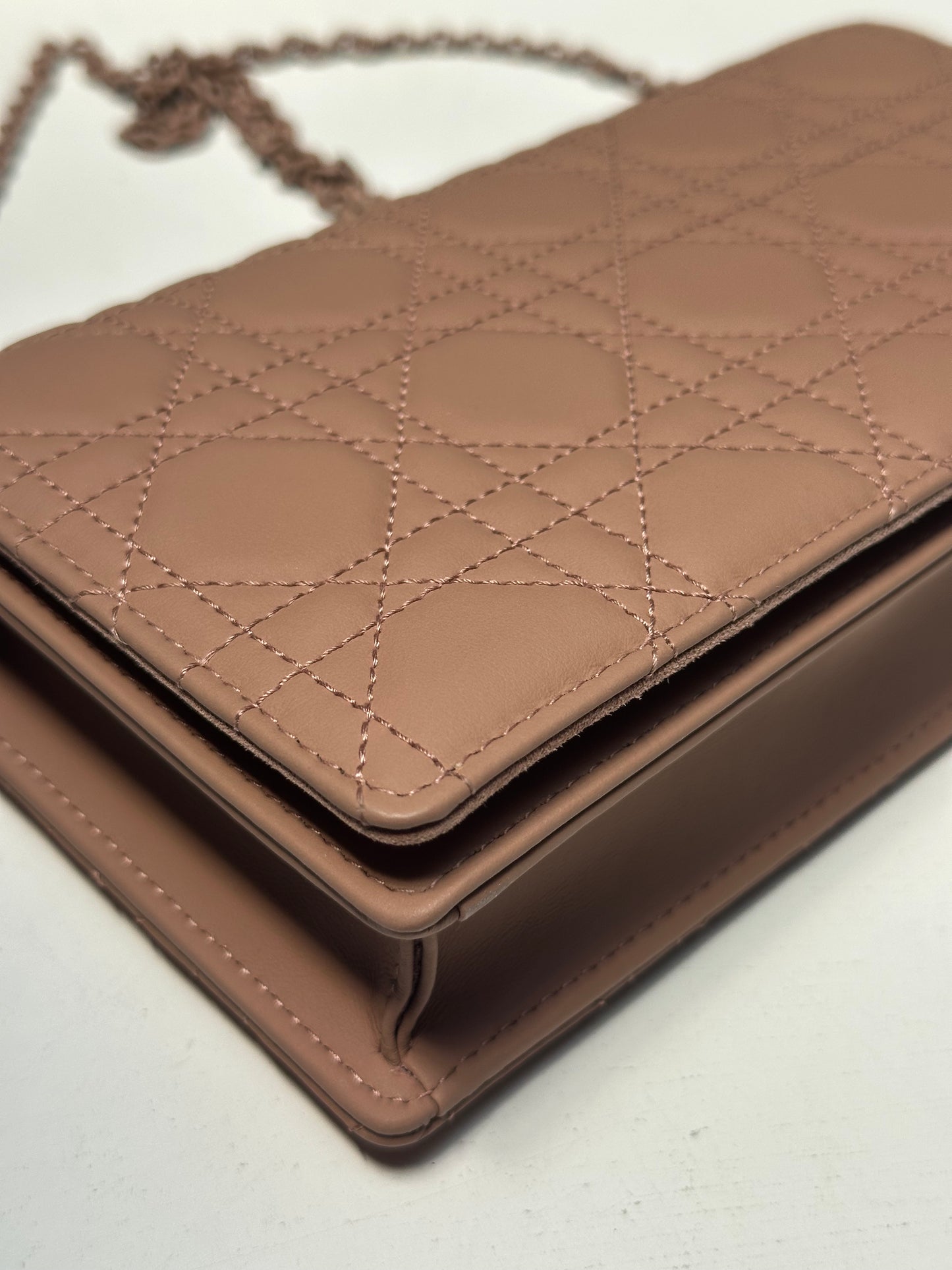 Dior Matte Blush Crossbody