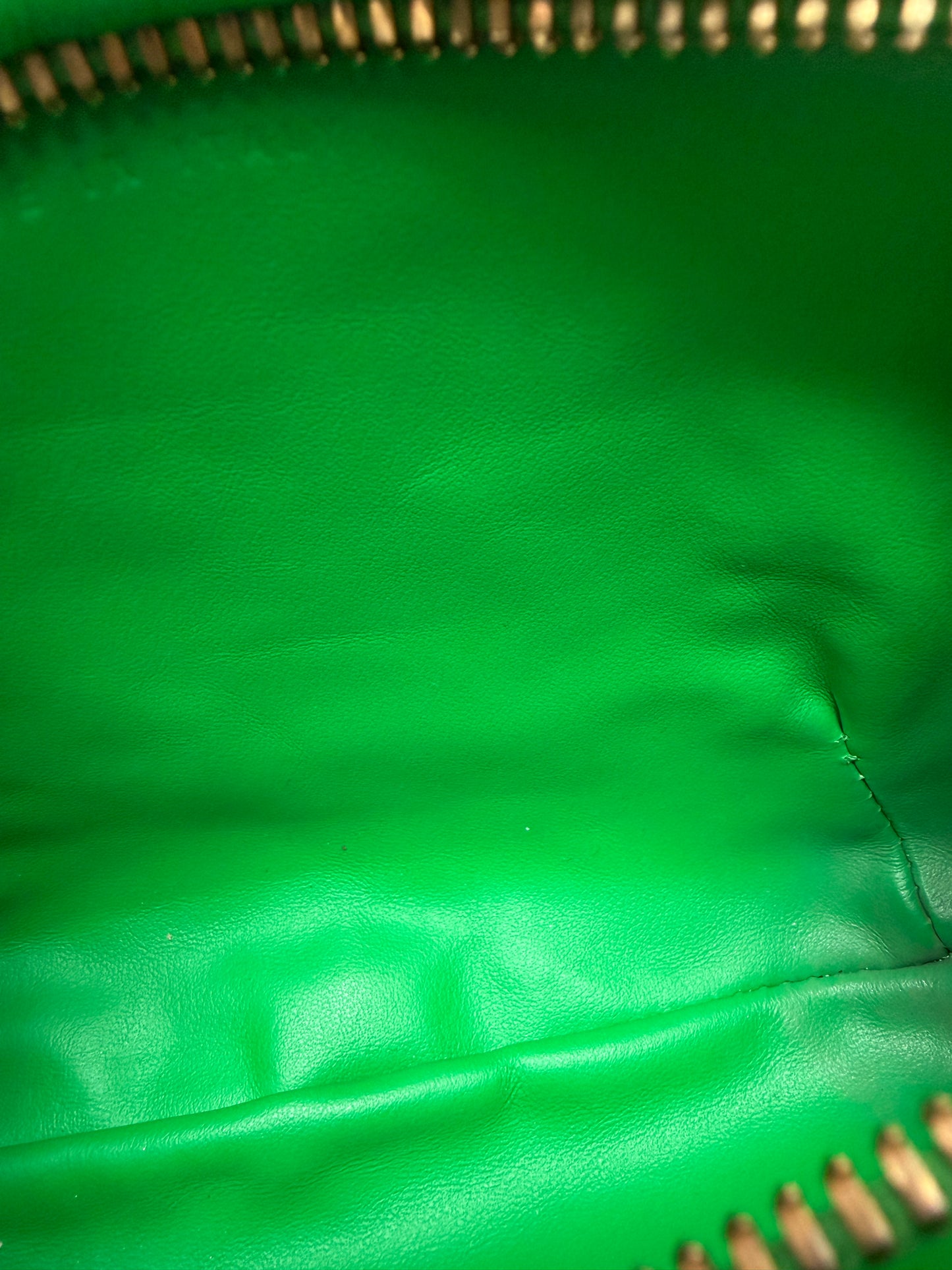 Bottega Veneta Mini Jodie Parakeet Green