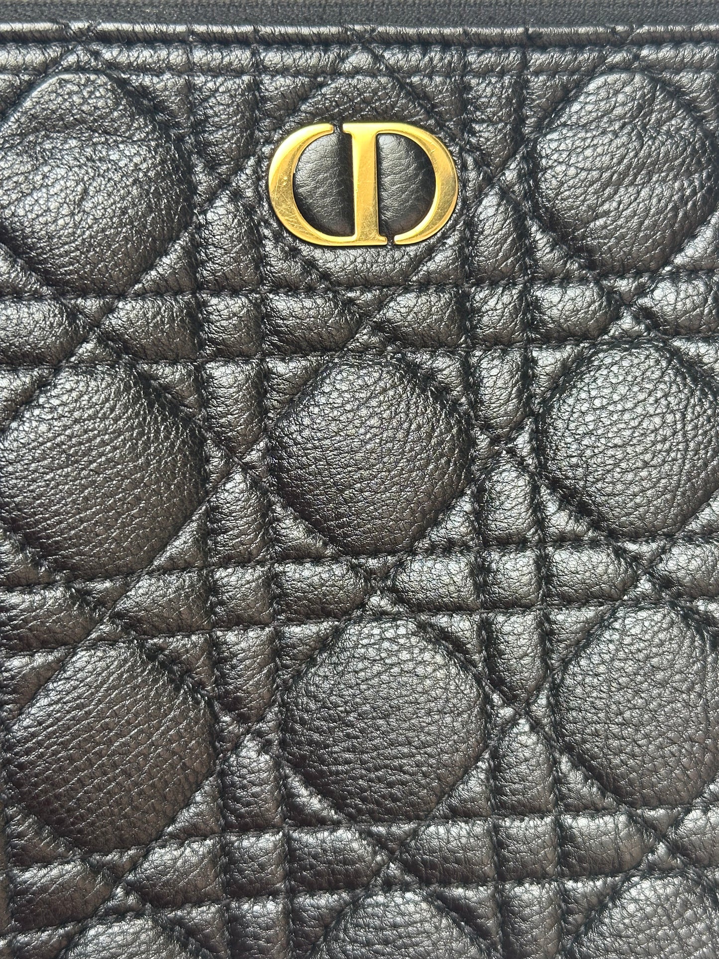 Dior Caro Daily Pouch