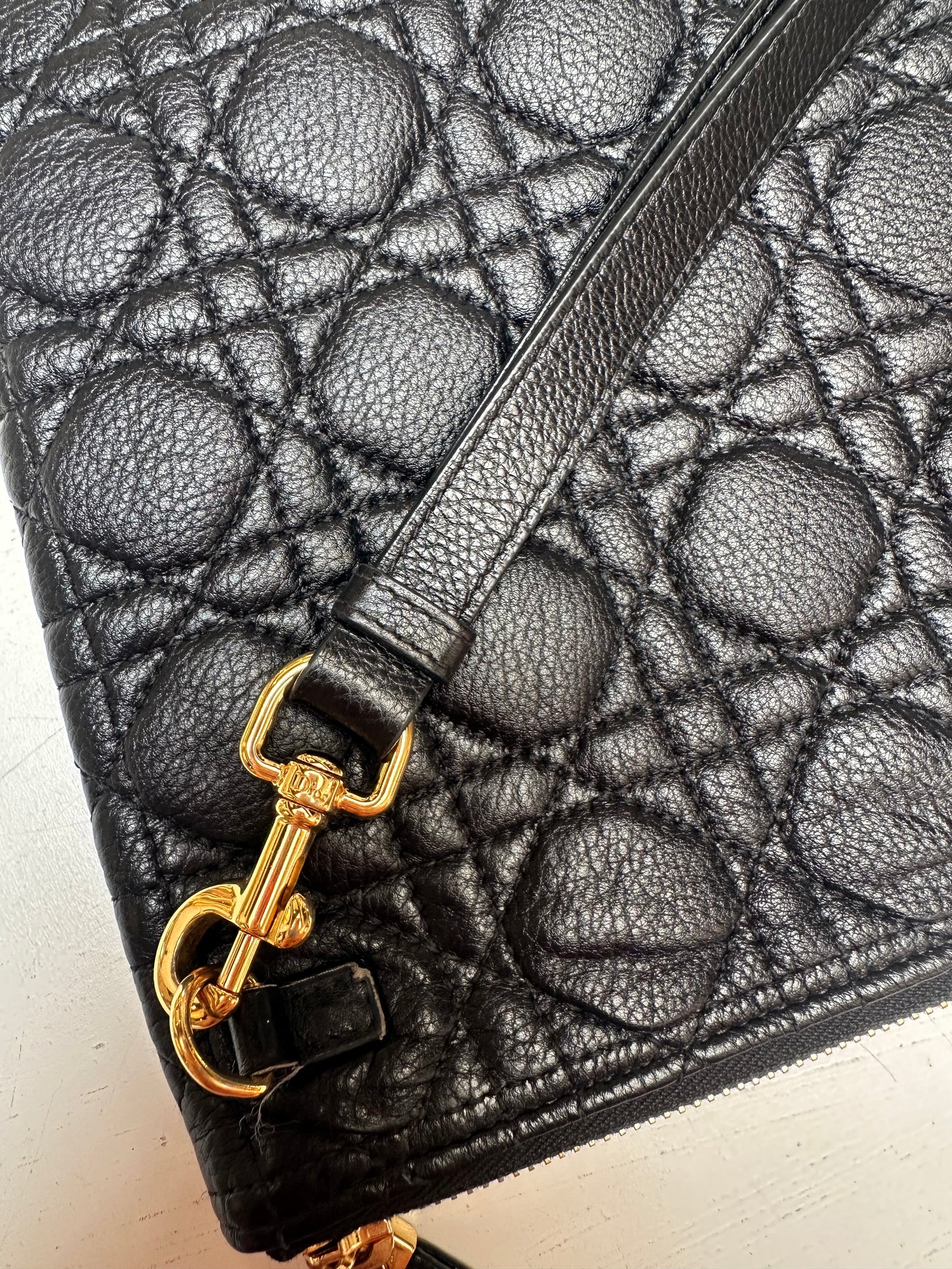 Dior Caro Daily Pouch