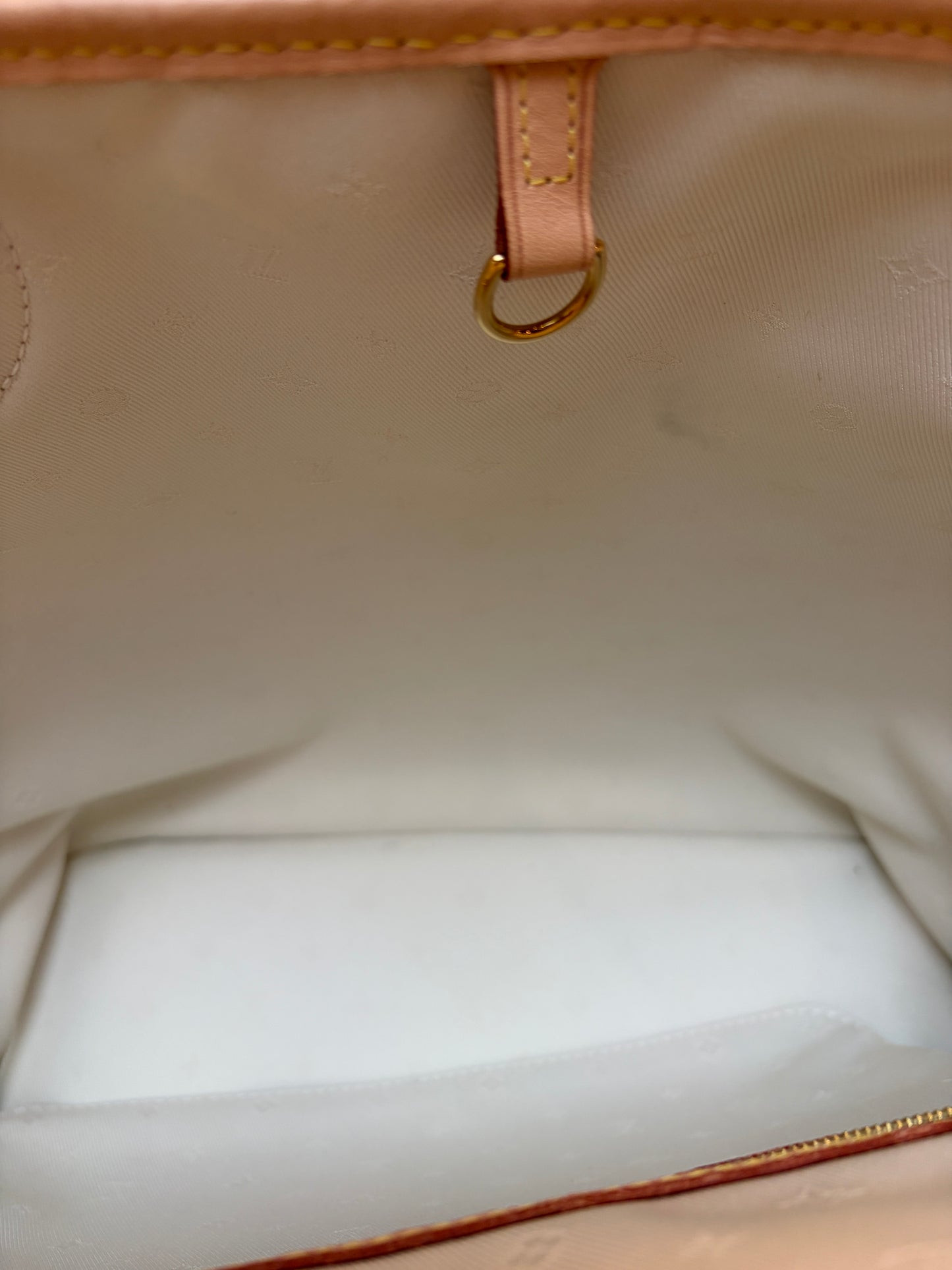 Louis Vuitton Neverfull MM Multi-colored Monogram Fabric