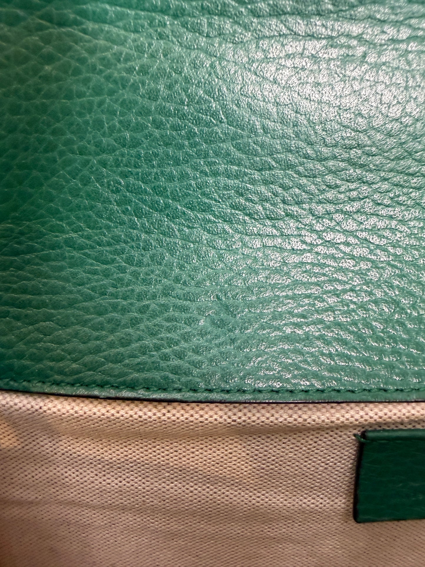 Gucci Dionysus Small Green