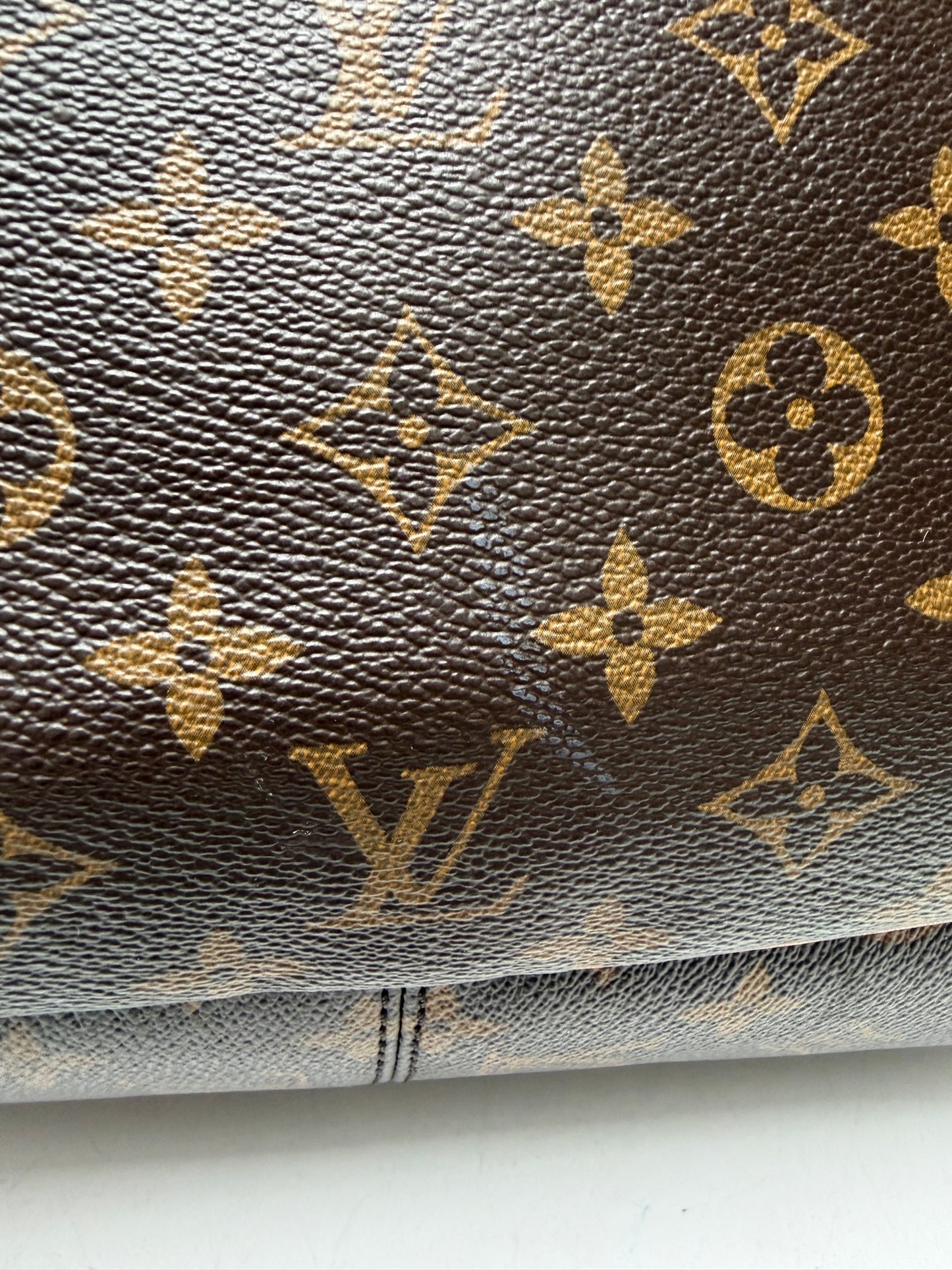Louis Vuitton Monogram Delightful GM