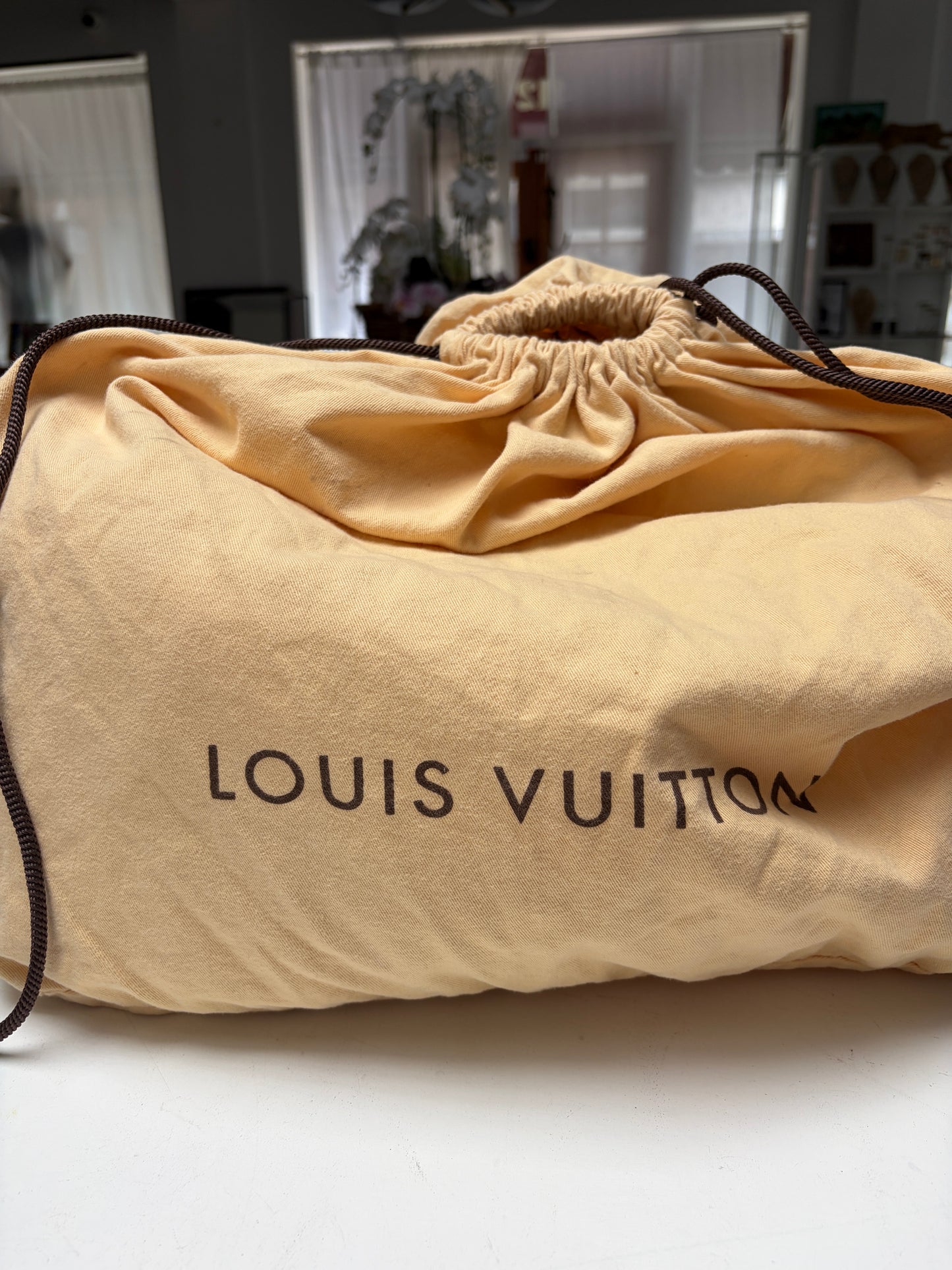 Louis Vuitton Monogram Delightful GM