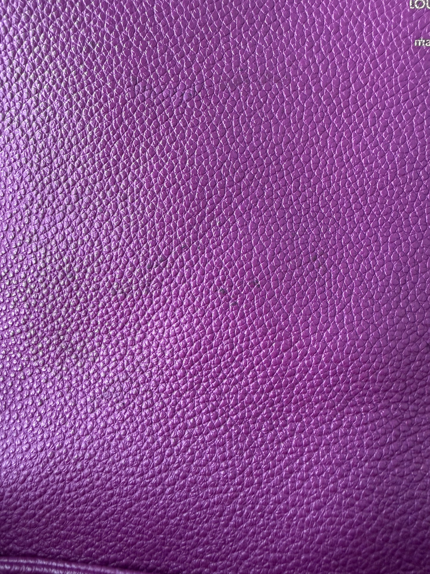 Louis Vuitton Purple Monogram Empreinte Fascinante