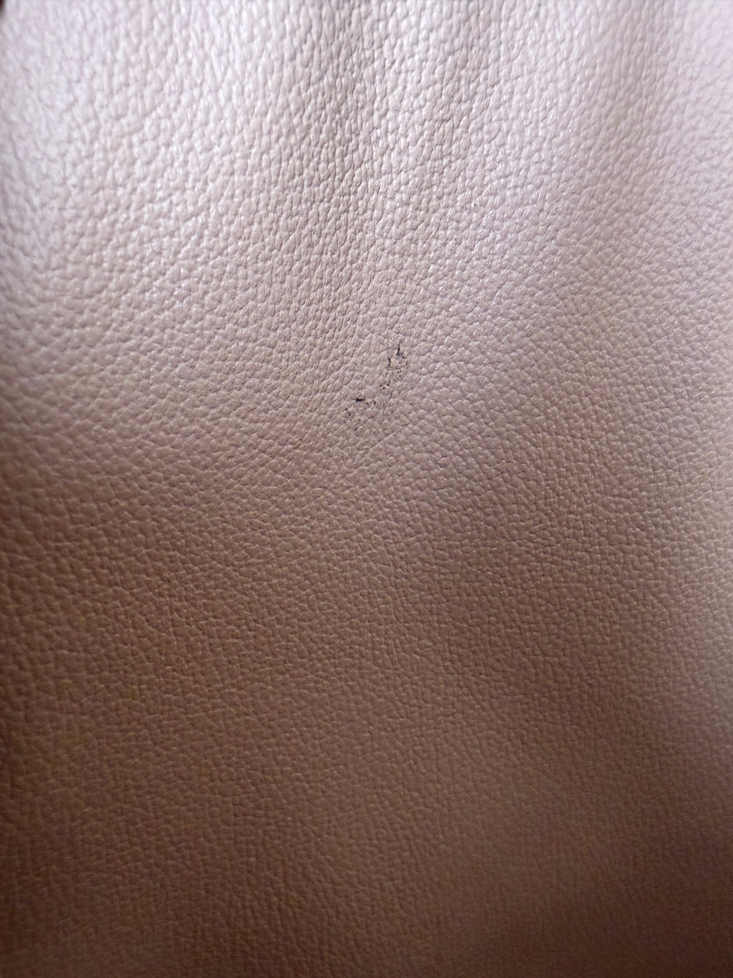 Louis Vuitton Monogram Sac Plat