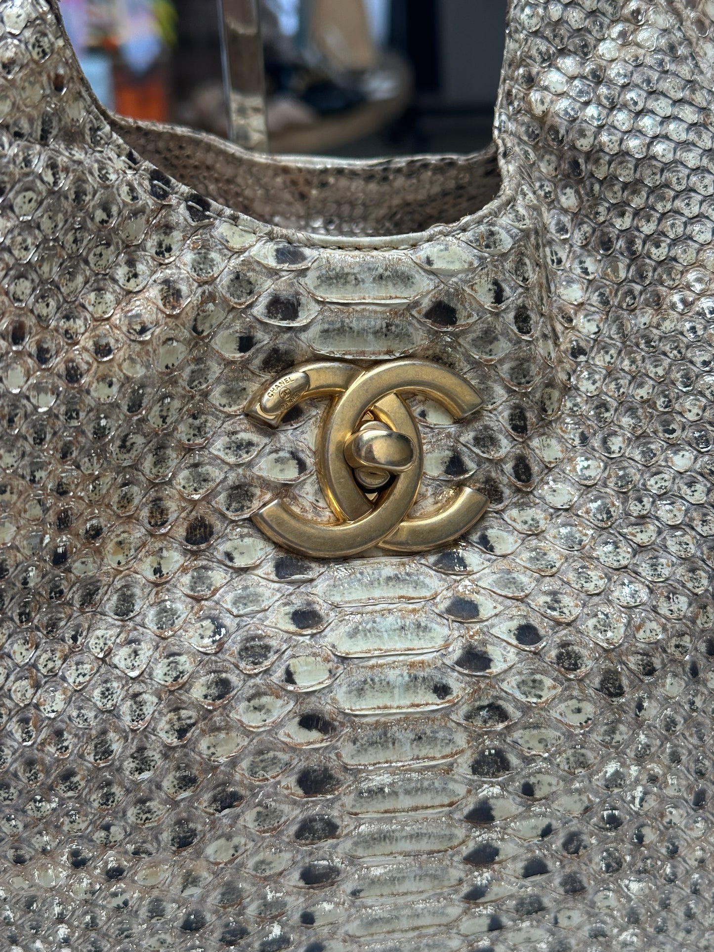 Chanel Python Hobo