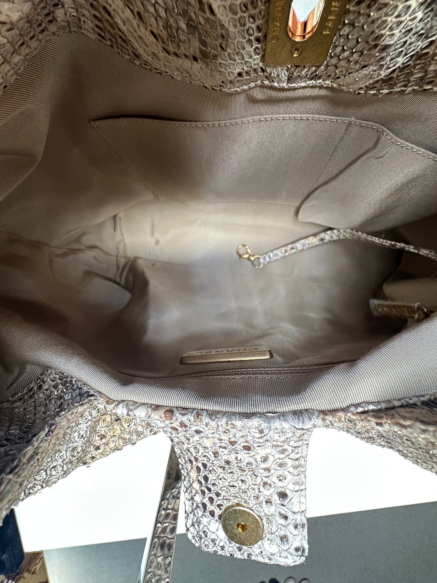 Chanel Python Hobo