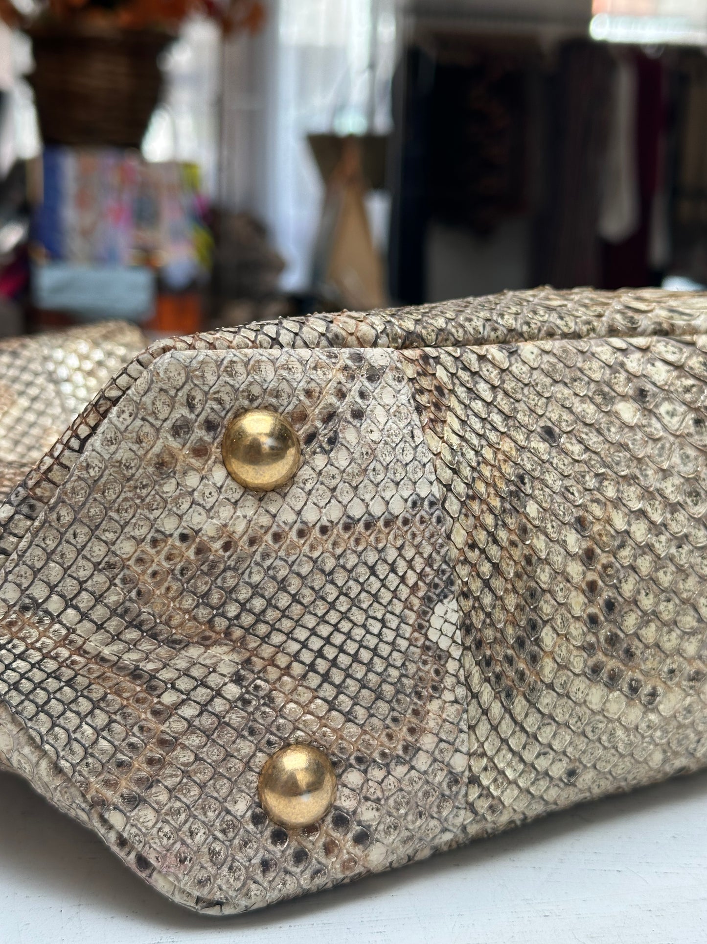 Chanel Python Hobo
