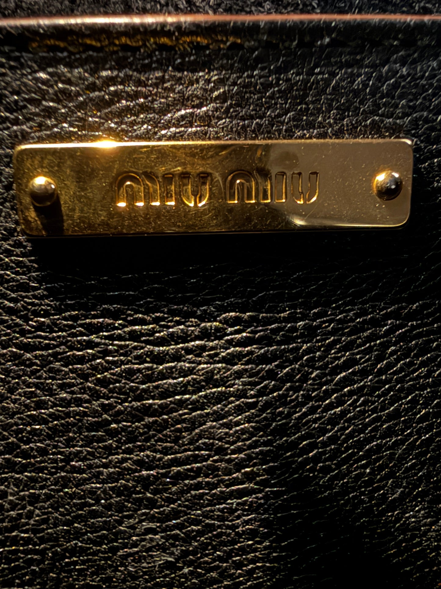 Miu Miu Dahlia Crystal Embellished Crossbody Bag Black