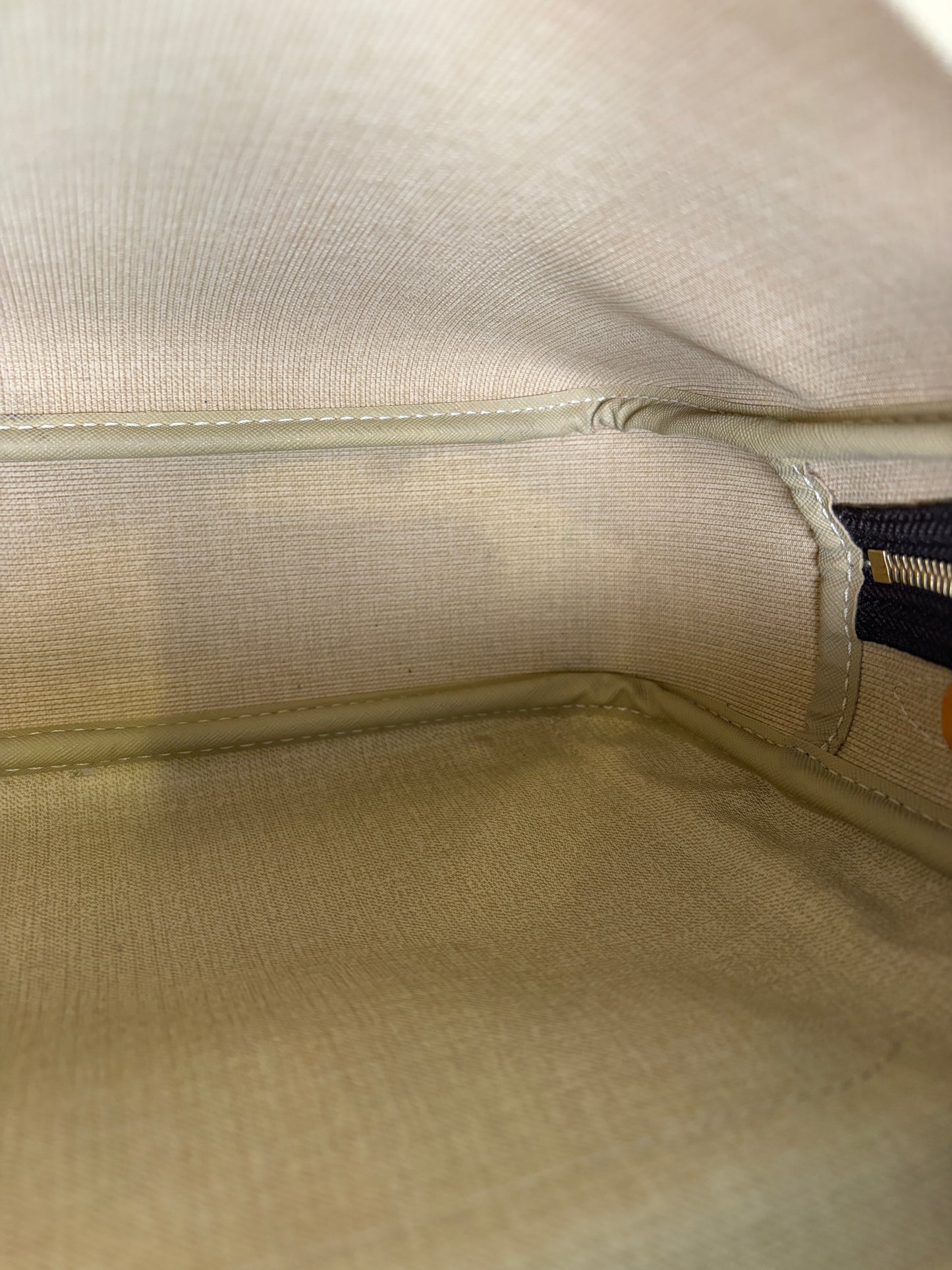 Louis Vuitton Reporter Bag PM Monogram
